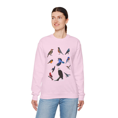 Blue Jay Cardinal Oriole Robin Hummingbird Birding & Birdwatching Bird Sweatshirt