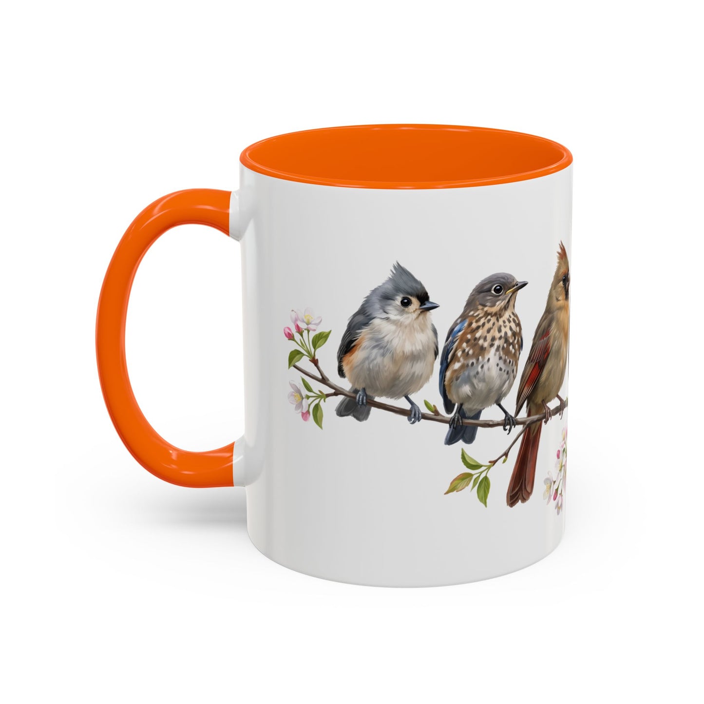 Blue Jay Cardinal Bluebird Little Owl Fledglings Two-Tone Mug | Spring Bird Lover Gift