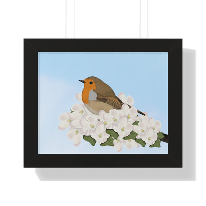 Robin Spring Blossoms Bird Framed Poster