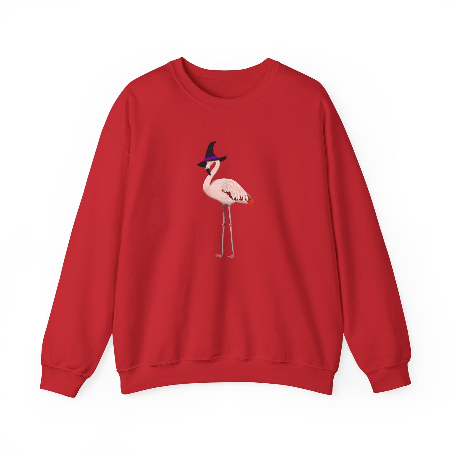 Flamingo Halloween Birds Witch Birdwatcher Sweatshirt