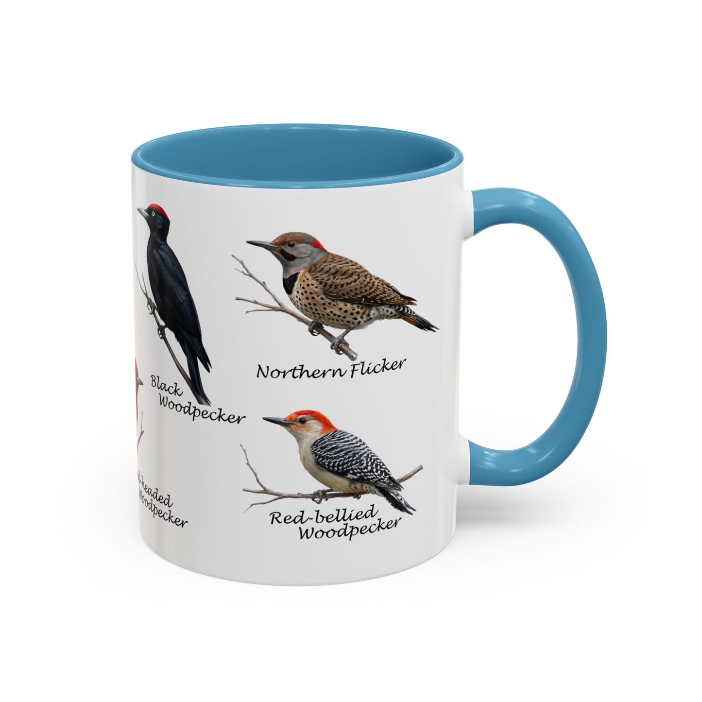Woodpecker Field Guide Coffee Mug | Two-Tone Bird Watcher Accent Cup – 11 oz,