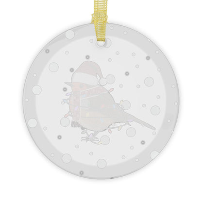 European Robin as Santa Claus with Fairy Lights Christmas Glass Ornament