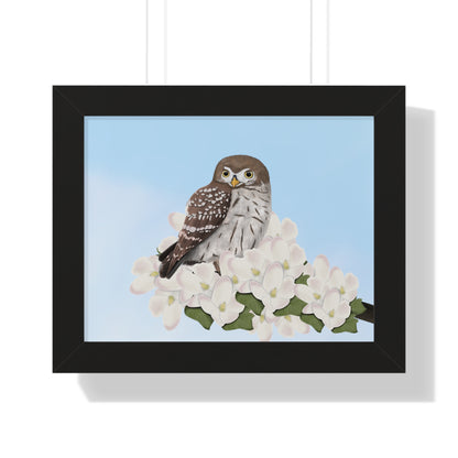 Little Owl Spring Blossoms Bird Framed Poster