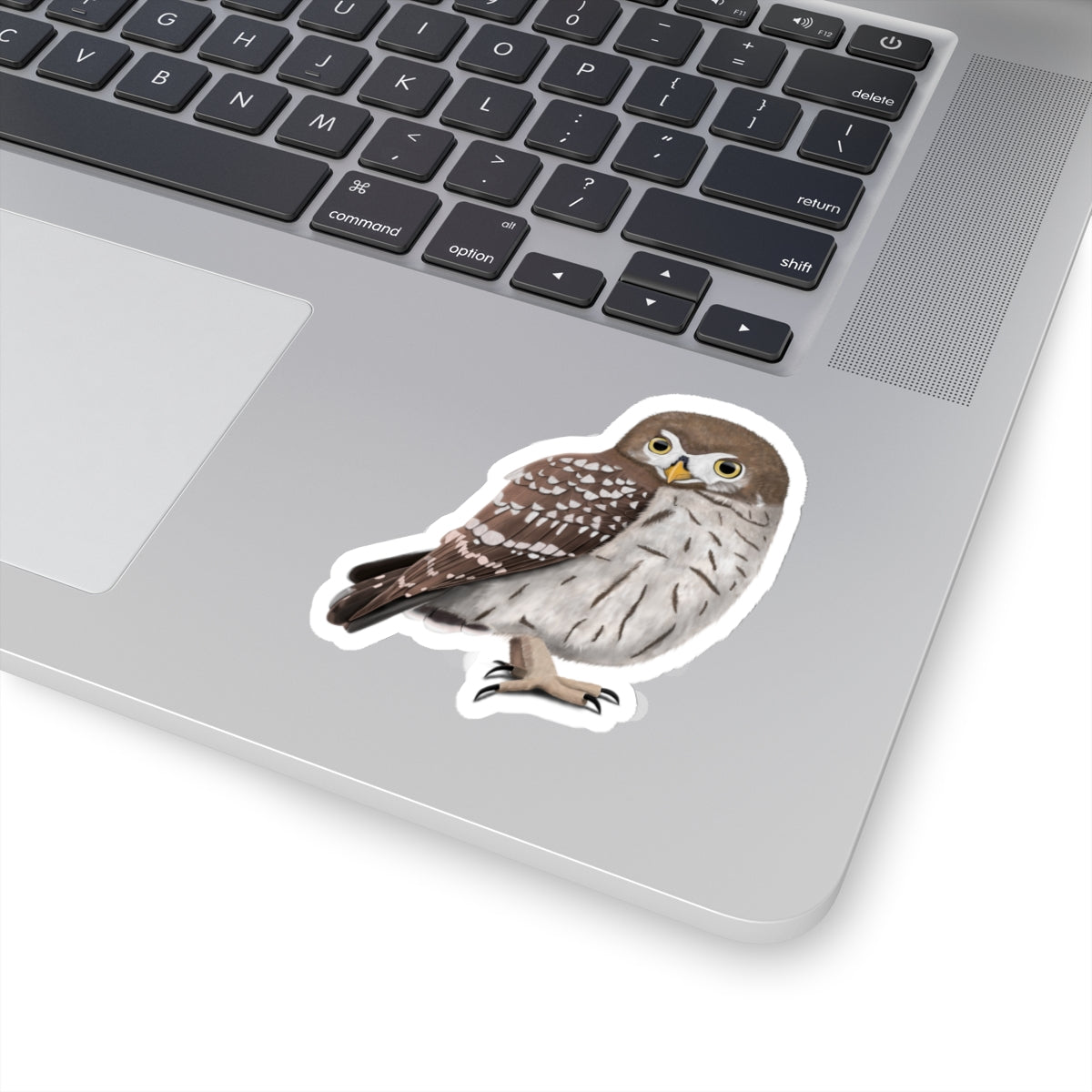 Owl Bird Kiss-Cut Sticker