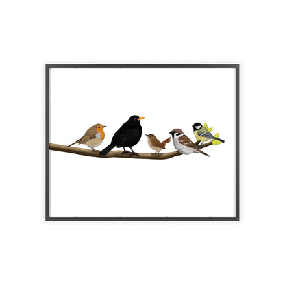 Vogel Poster im Holzrahmen - Vögel auf einem Ast Poster Amsel Rotkehlchen Zaunkönig Spatz Kohlmeise