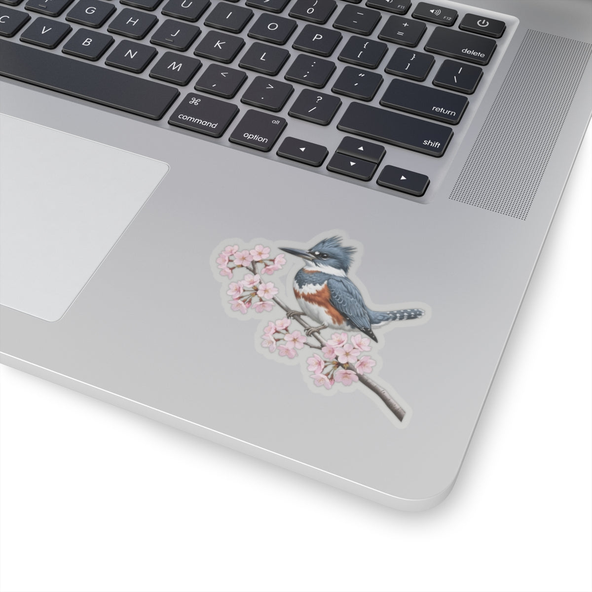 Belted Kingfisher Cherry Blossom Sticker | Glossy Floral Bird Decal | Spring Laptop Sticker