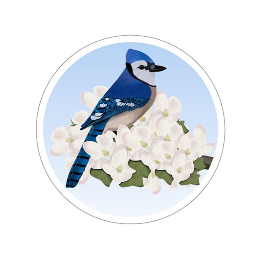 Blue Jay Spring Apple Blossoms Bird Sticker