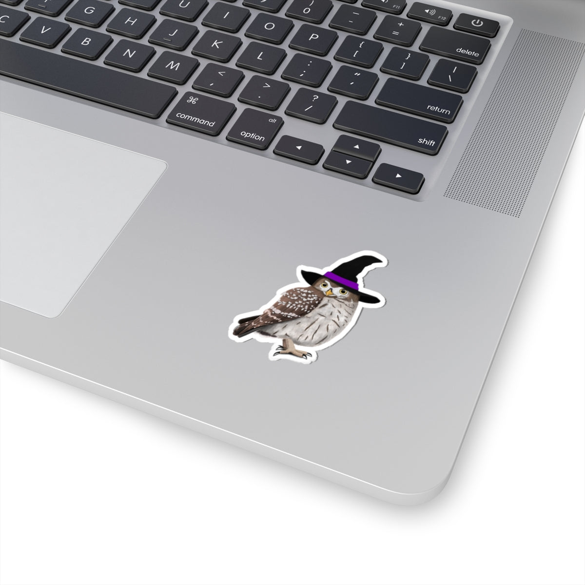 Owl Halloween Witch Hat Bird Sticker