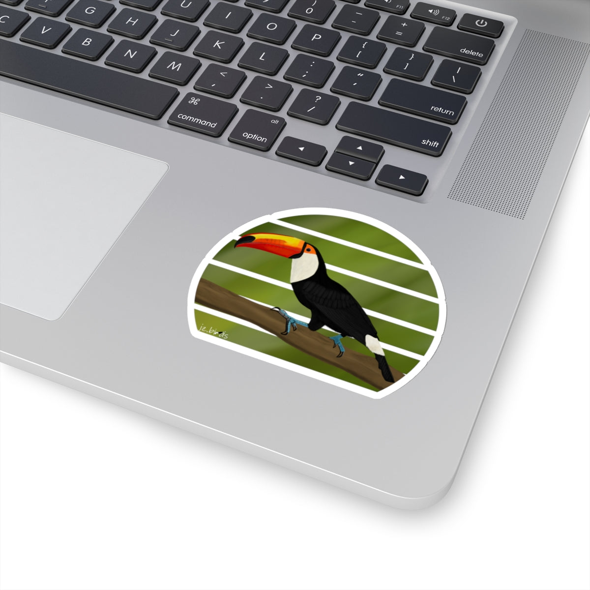 Toucan Bird Sticker