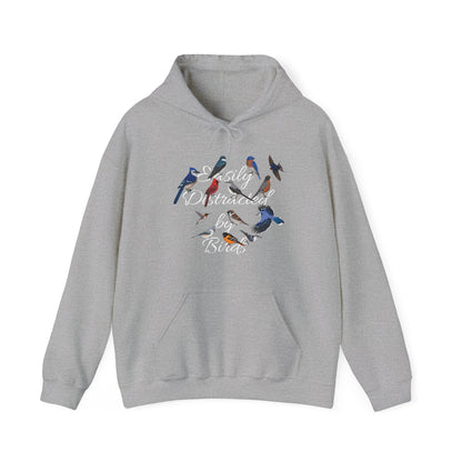 Easily Distracted by Birds Blue Jay Cardinal Hummingbird Hoodie