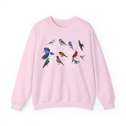 Bird Nerd Blue Jay Cardinal Hummingbird Robin Oriole Birdlover Sweatshirt