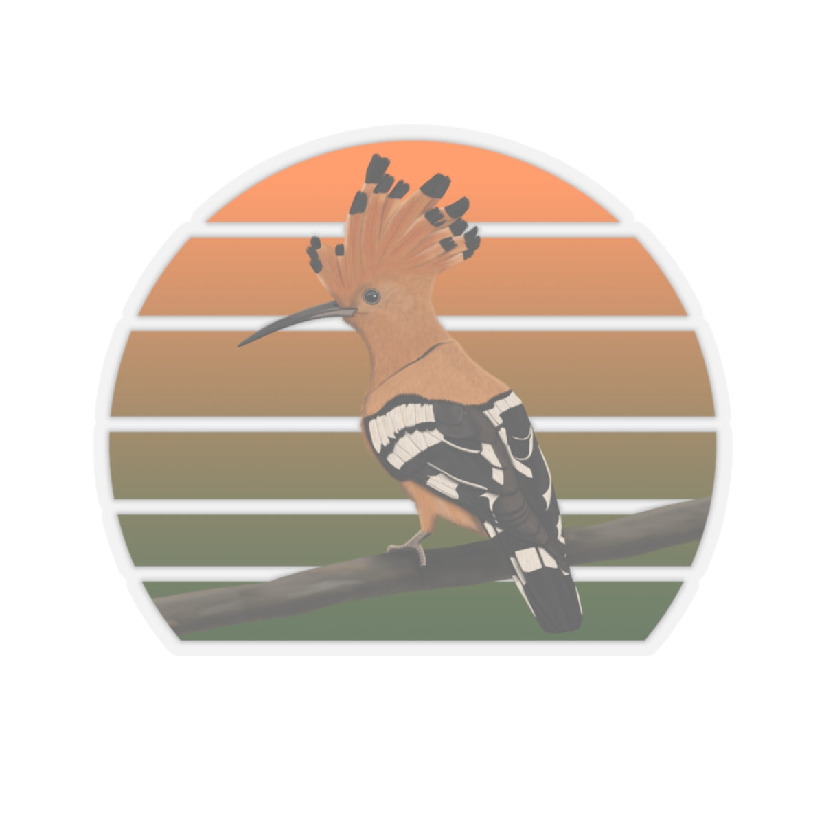 Hoopoe Bird Sticker