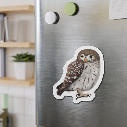 Little Owl Bird Magnet