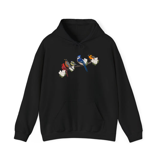 Backyard Birds on a Branch Blue Jay Cardinal Robin Chickadee Oriole Birdwatcher Hoodie