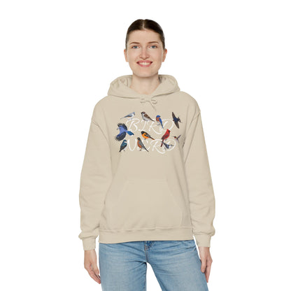 Bird Nerd Blue Jay Cardinal Hummingbird Robin Oriole Hoodie