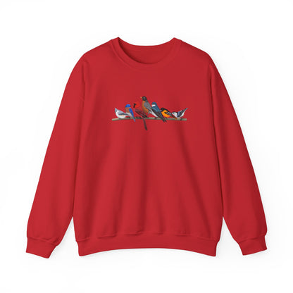 Birds on a Branch Robin Cardinal Tree Swallow Bluebird Oriole Bird Birding & Birdwatching Sweatshirt