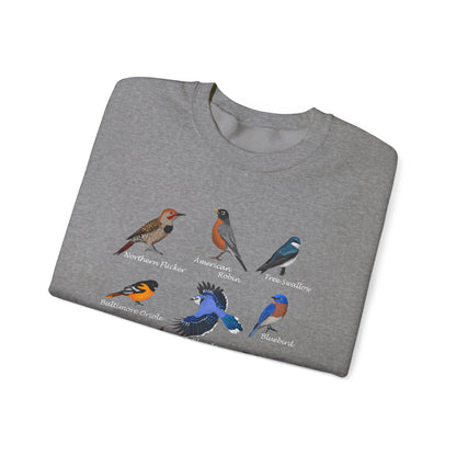 Blue Jay Cardinal Oriole Robin Hummingbird Birding & Birdwatching Bird Sweatshirt