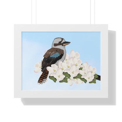 Kookaburra Spring Blossoms Bird Framed Poster