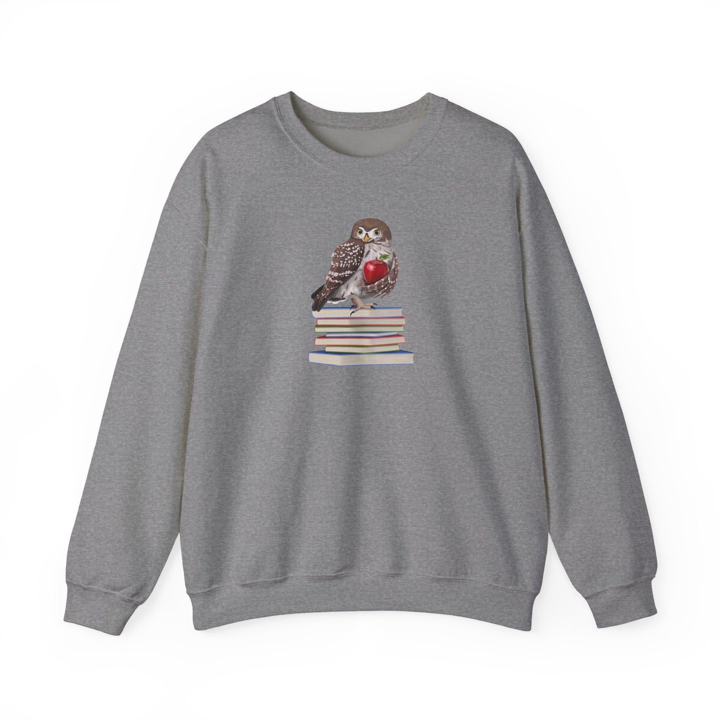 Cute Owl on Books Teacher Sweatshirt – Cozy Back to School Aesthetic