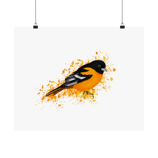 Baltimore Oriole Bird Artwork Matte Poster