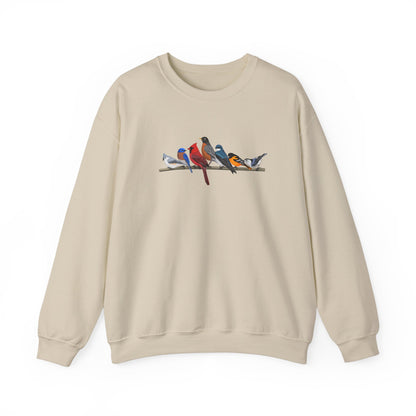 Birds on a Branch Robin Cardinal Tree Swallow Bluebird Oriole Bird Birding & Birdwatching Sweatshirt