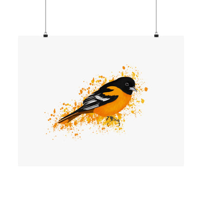 Baltimore Oriole Bird Artwork Matte Poster