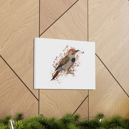 Northern Flicker Bird Canvas Gallery Wrap White