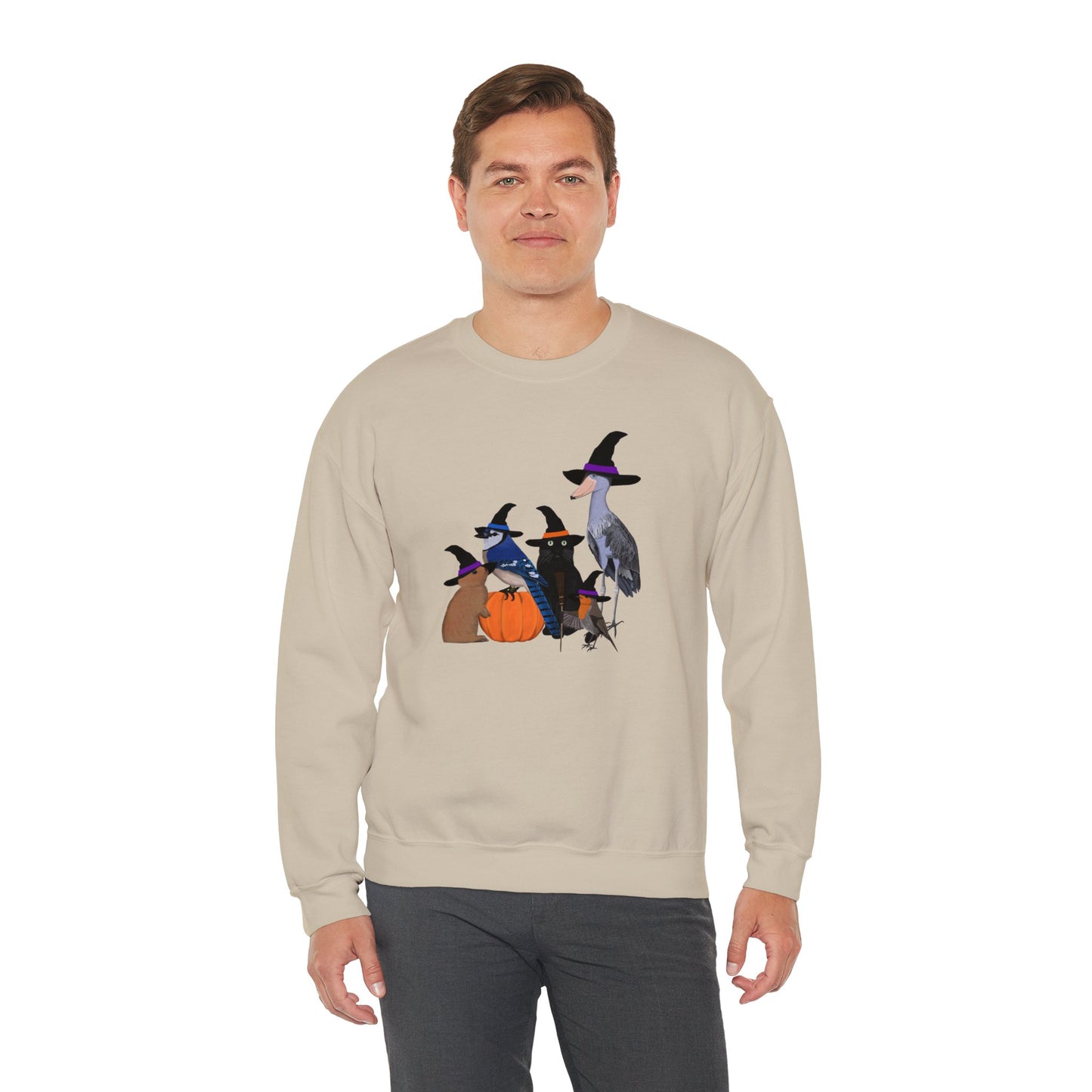 Robin Shoebill Blue Jay Rabbit with Cat Happy Halloween Birds Sweatshirt