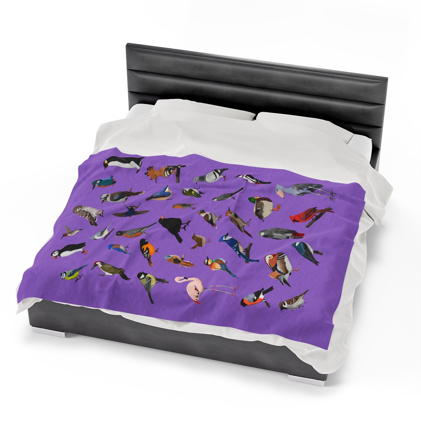 Blue Jay Cardinal Robin Bluebird Hummingbird Oriole Backyard Birds Velveteen Plush Blanket Purple