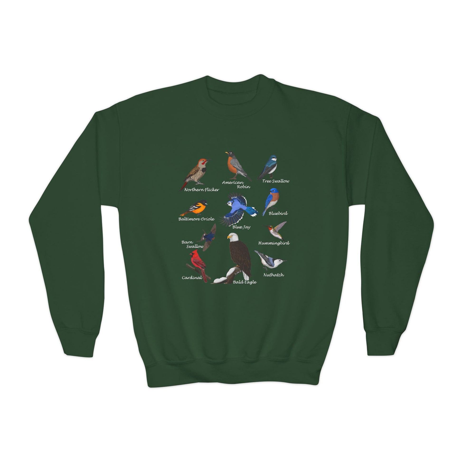 Bald Eagle Blue Jay Bluebird Robin Cardinal Hummingbird Bird Birdwatching Youth Crewneck Sweatshirt – Casual Kids Clothing, Sweatshirts