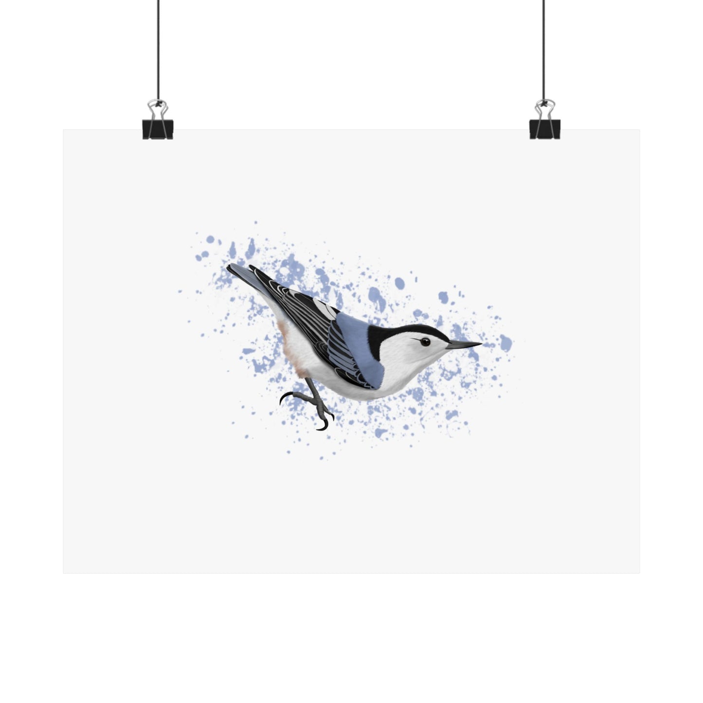 Nuthatch Bird Artwork Matte Poster