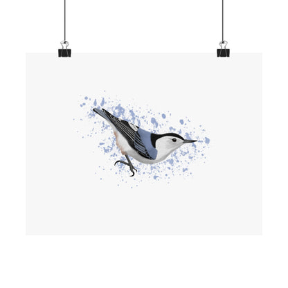 Nuthatch Bird Artwork Matte Poster