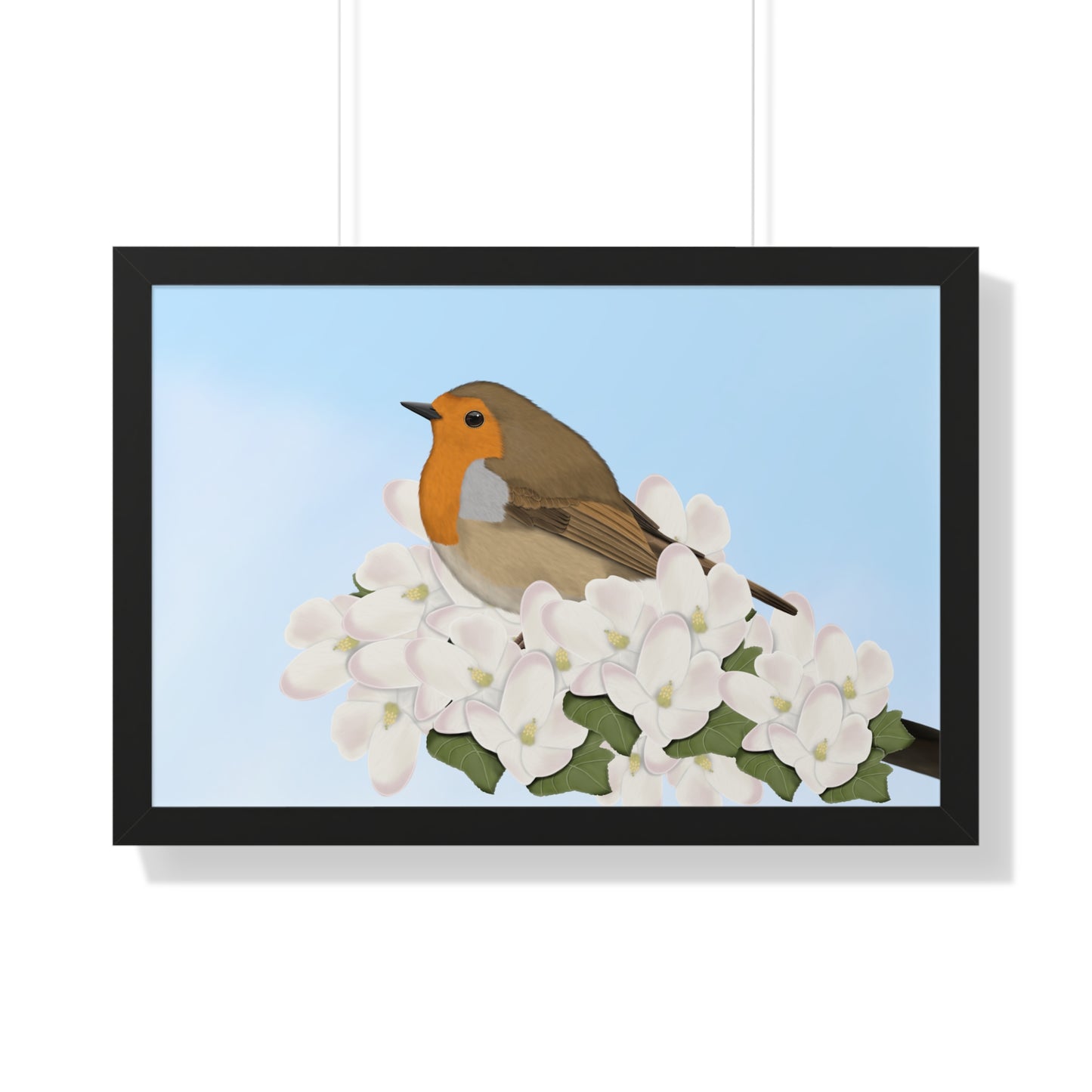 robin bird art framed poster