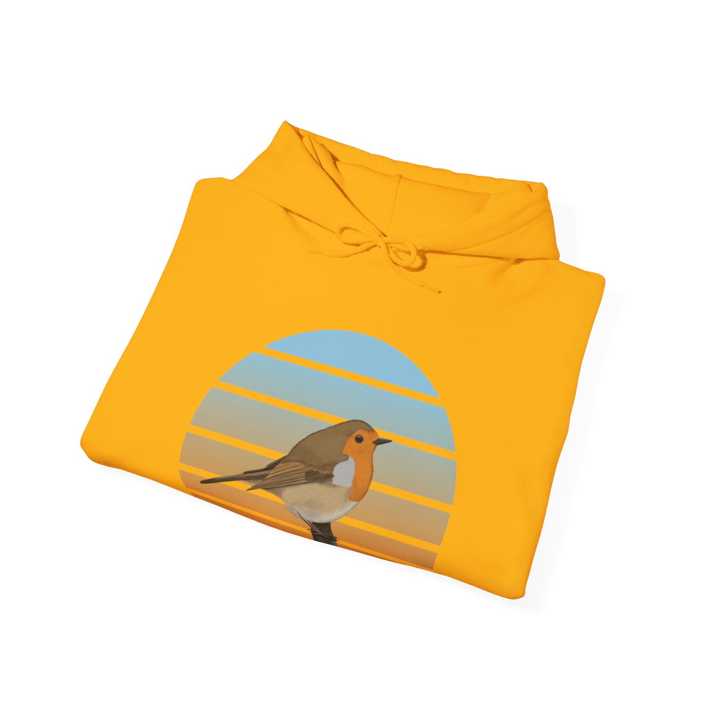 European Robin Bird Hoodie