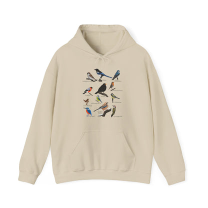 Gartenvögel Vogel Hoodie - Amsel Rotkehlchen Blaumeise Kapuzenpullover für Vogelbeobachter & Naturliebhaber mit Vogelmotiv