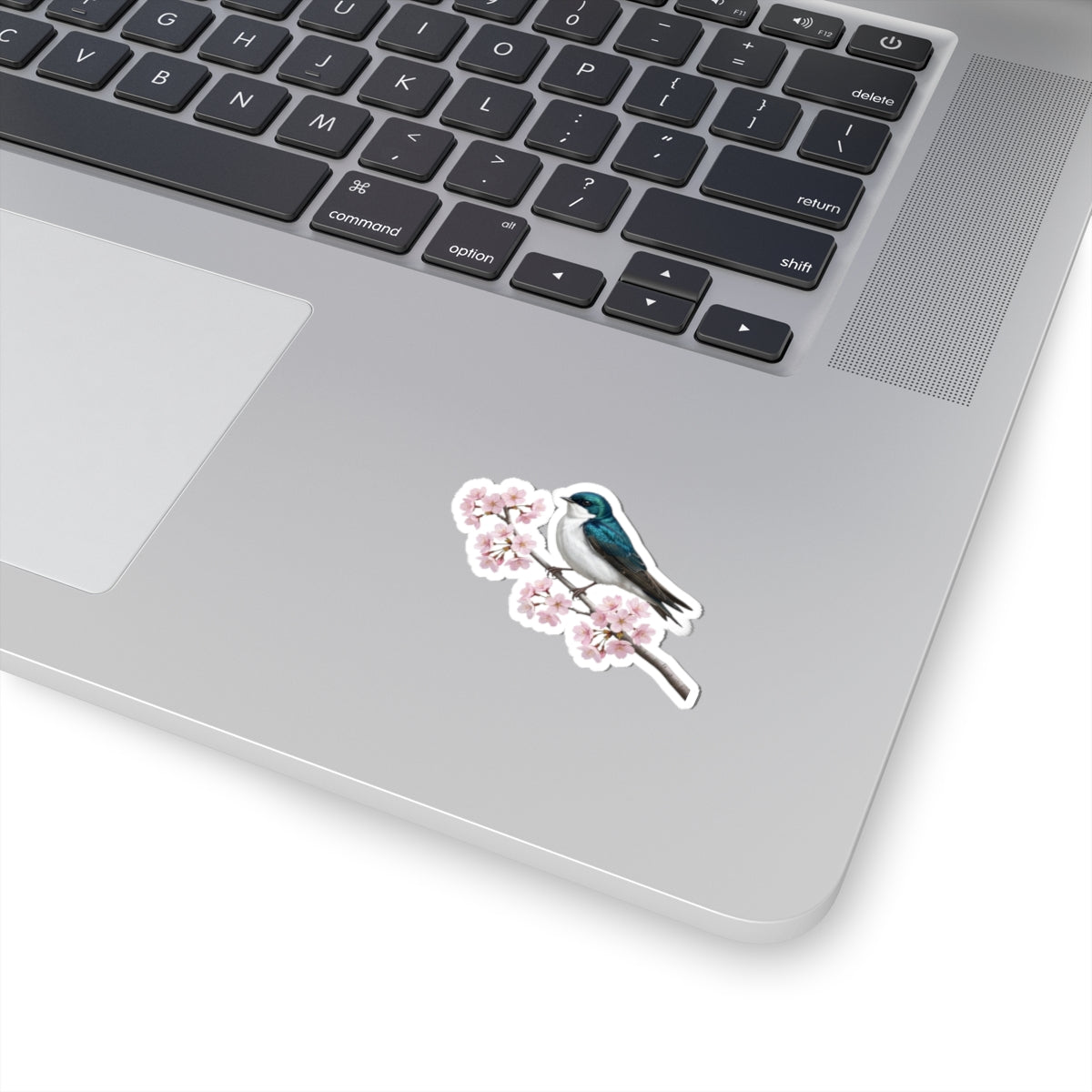 Tree Swallow Cherry Blossom Sticker | Glossy Floral Bird Decal | Spring Laptop Sticker