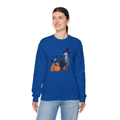 Robin Shoebill Blue Jay Rabbit with Cat Happy Halloween Birds Sweatshirt