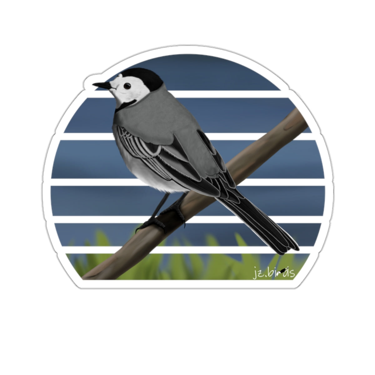 Wagtail Bird Sticker