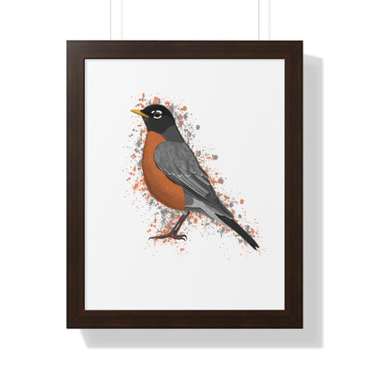 Robin Bird Framed Poster