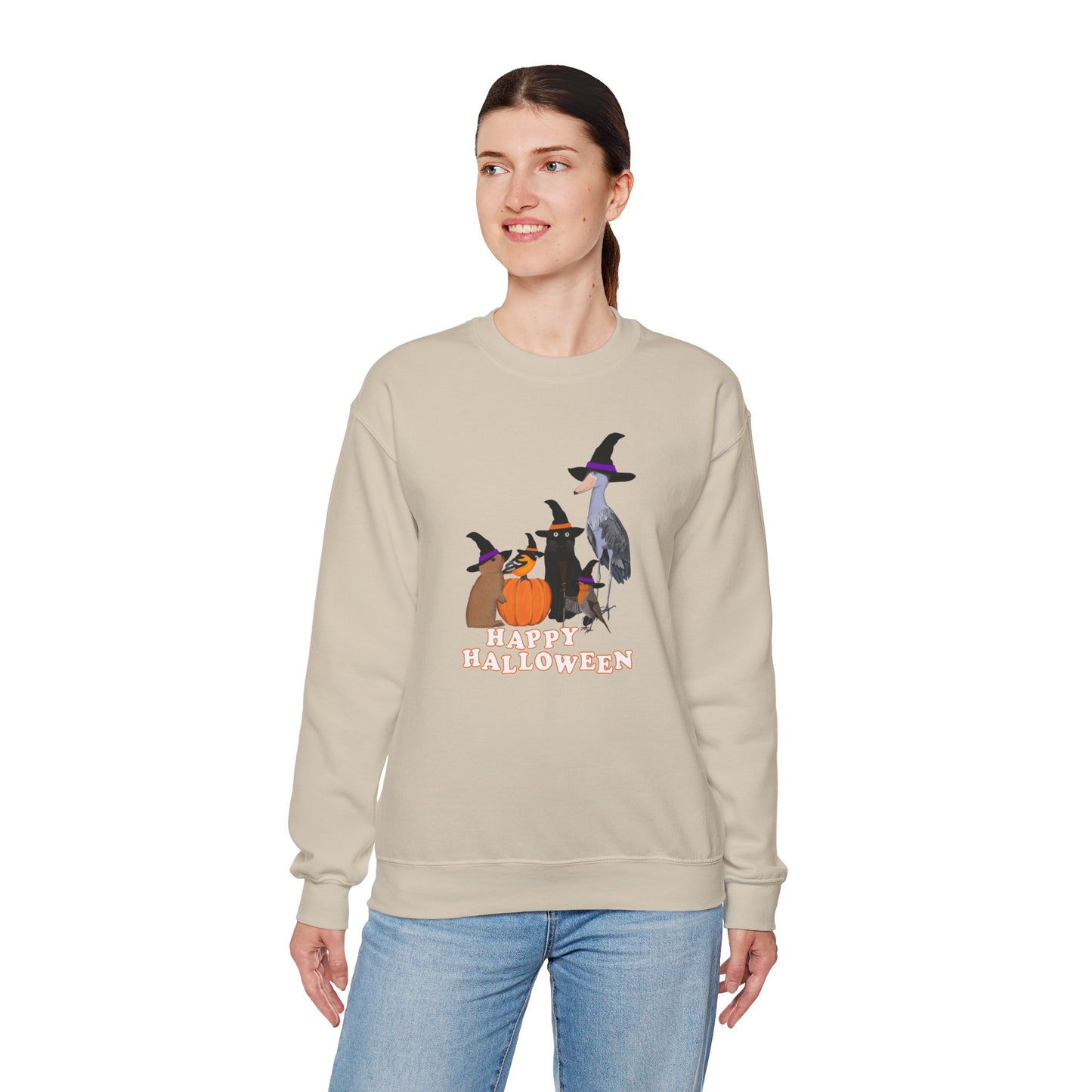 Robin Shoebill Oriole Rabbit with Cat Happy Halloween Birds Sweatshirt