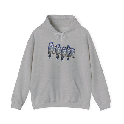 Blue Jays Hoodie Bird Lover & Bird Watcher | Unisex Sweater | Gift for Bird Lovers