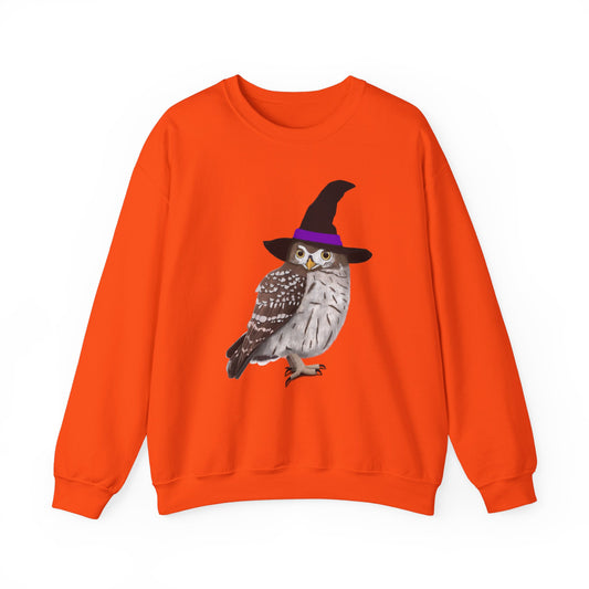 Owl Halloween Witch Birdwatcher Biologist Bird Sweatshirt