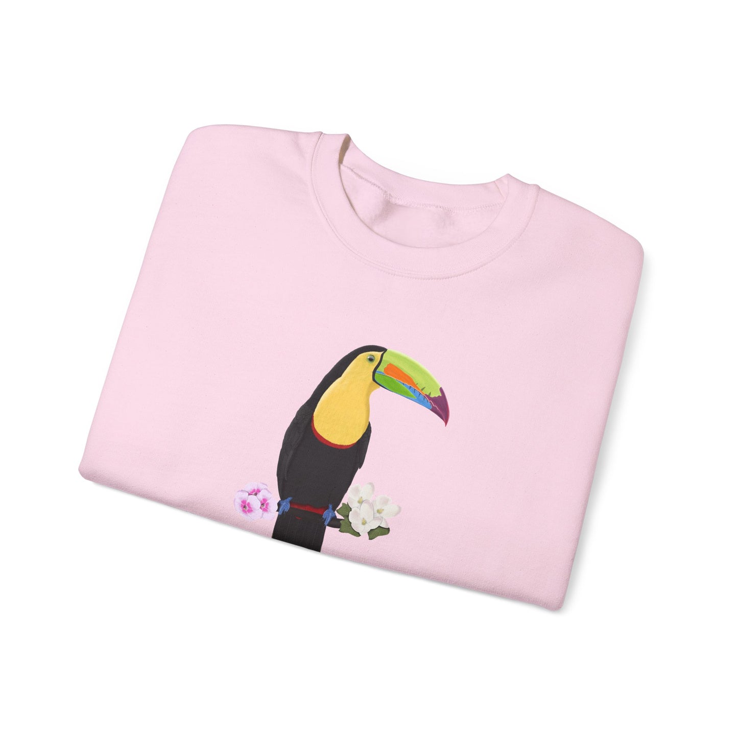 Keel-Billed Toucan Birdlover Ornithologist Bird Sweatshirt