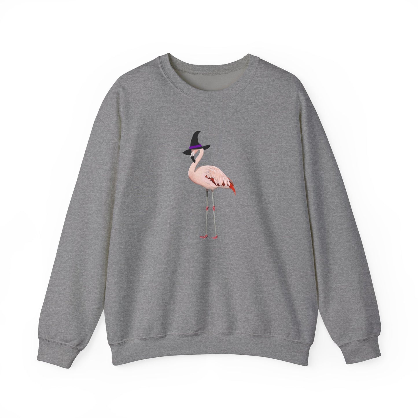 Flamingo Halloween Birds Witch Birdwatcher Sweatshirt