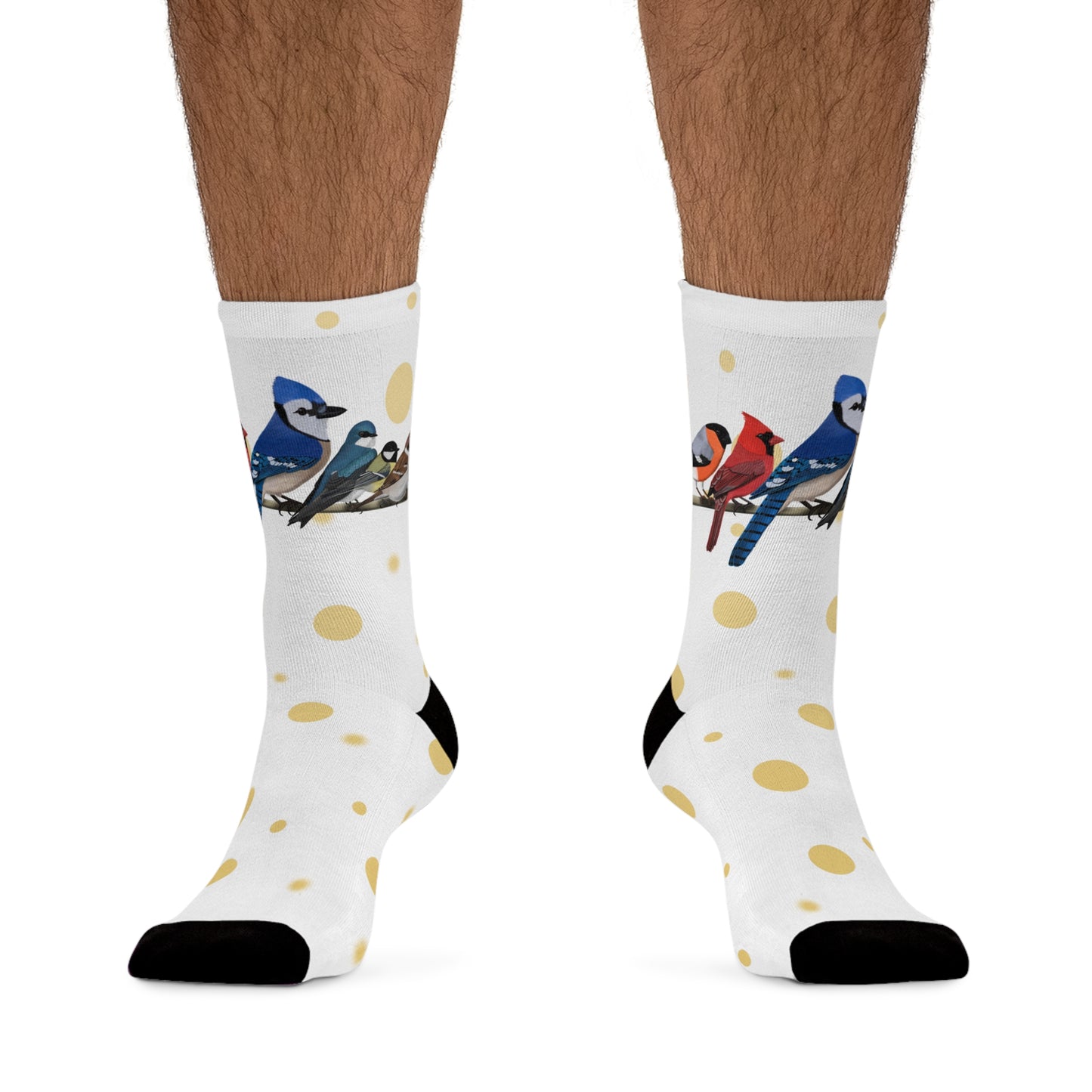 Garden Birds Blue Jay Cardinal Bullfinch Birding & Birdwatching Bird Socks White Golden Dots