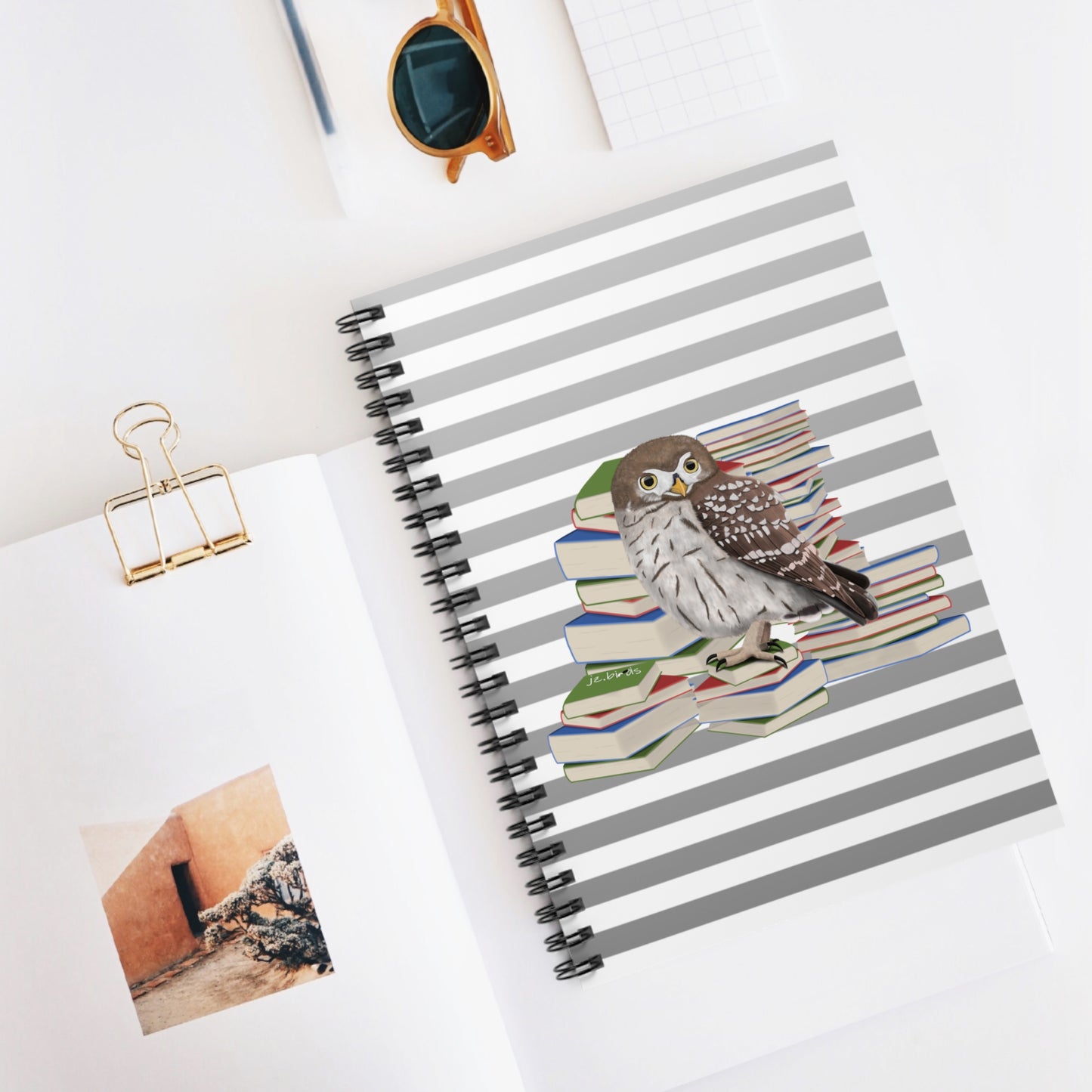 Owl Bird with Books Birdlover Bookworm Spiral Notebook Ruled Line 6" x 8"