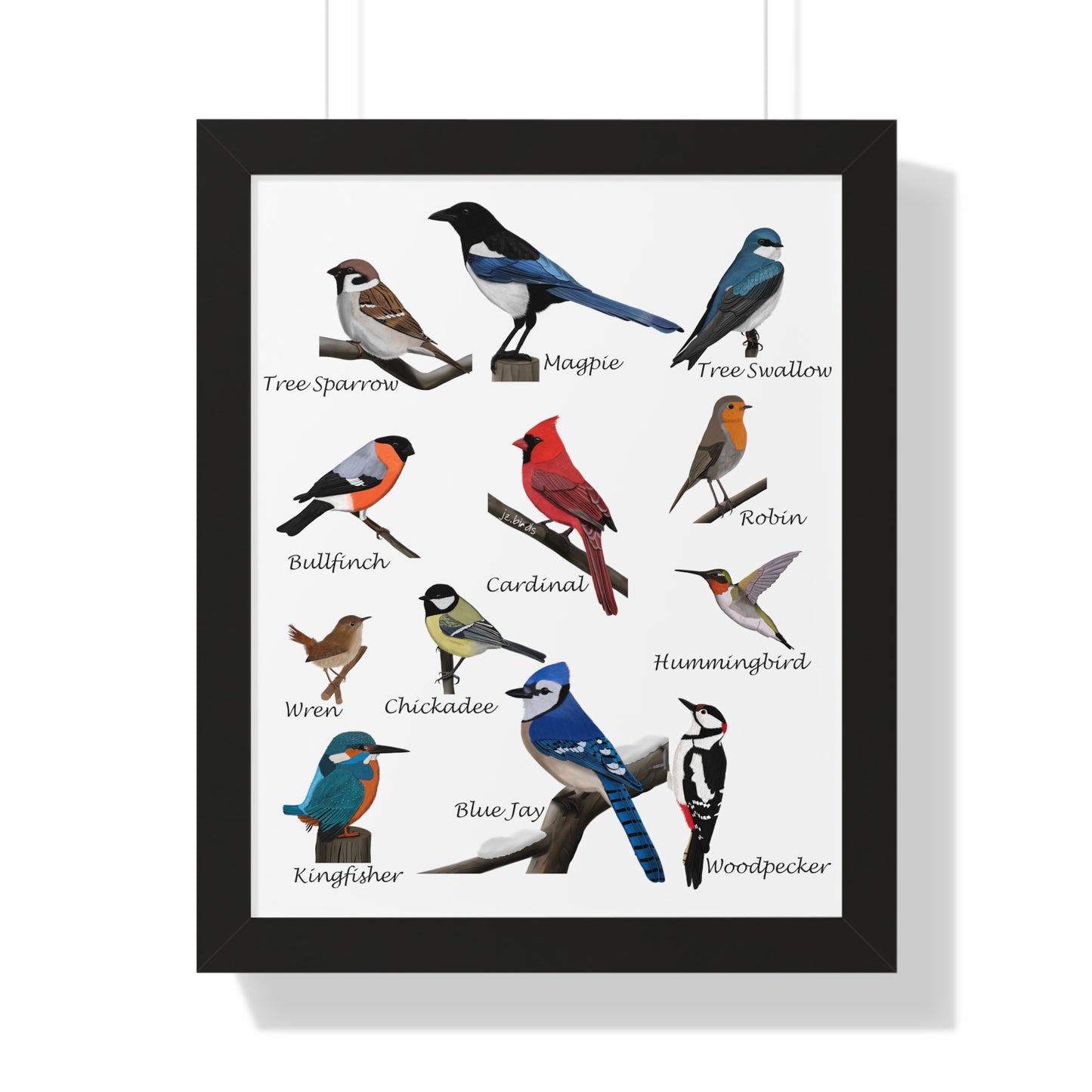 garden birds framed poster