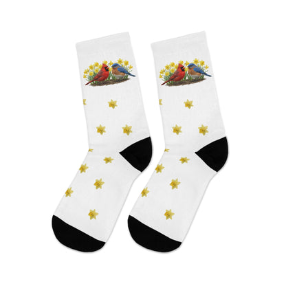 Spring Cardinal and Bluebird – Daffodil Pattern Easter Socks