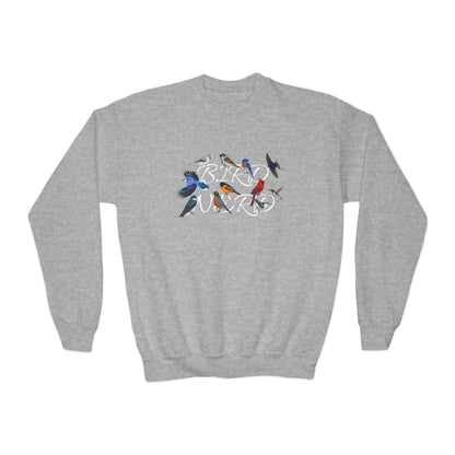 Bird Nerd Blue Jay Oriole Robin Barn Swallow Nuthatch Bird Birdwatching Youth Crewneck Sweatshirt