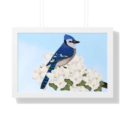 Blue Jay Spring Blossoms Bird Framed Poster